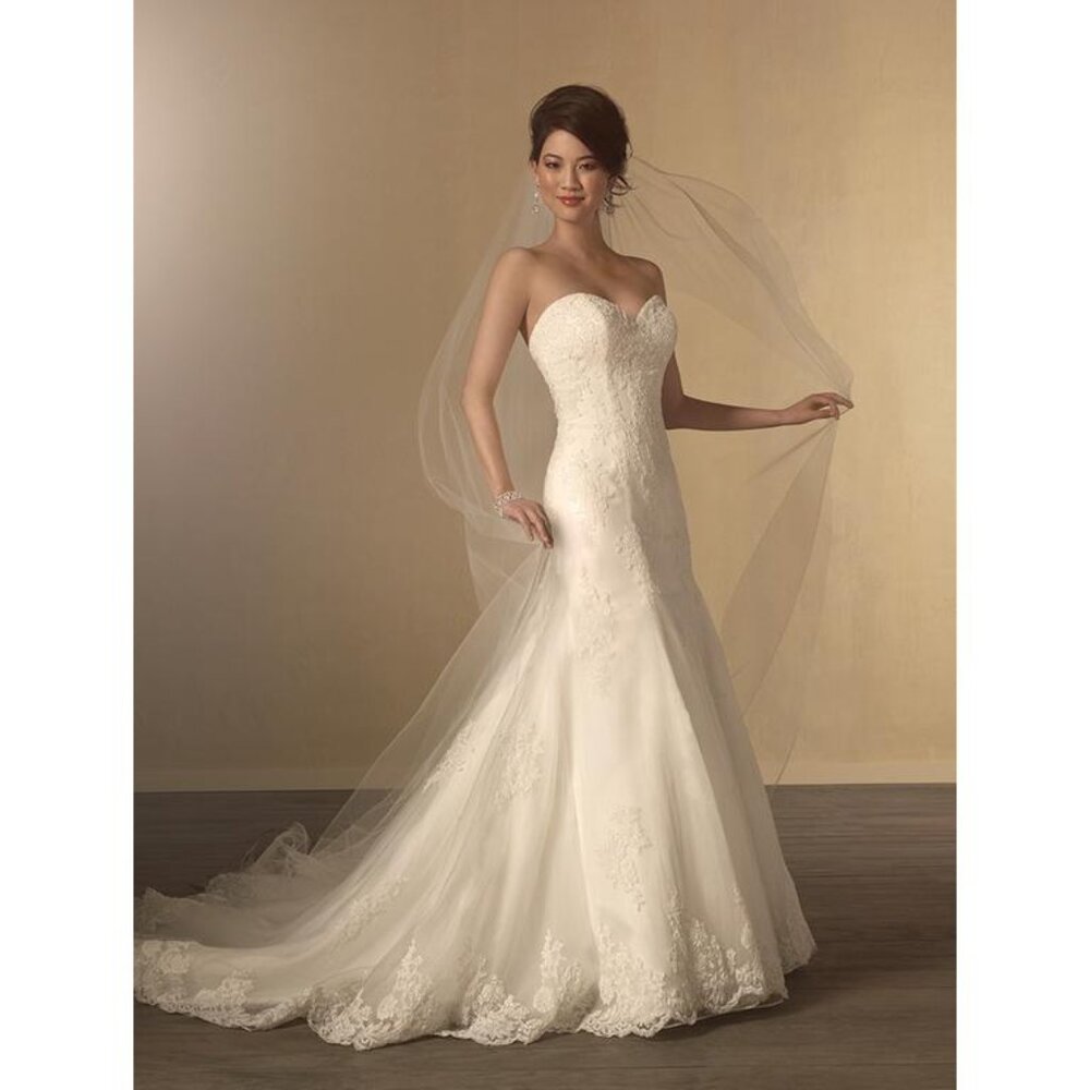 USED SAMPLE Fit & Flare Sexy Lace Wedding Dress Romantic Mermaid Lace Corset